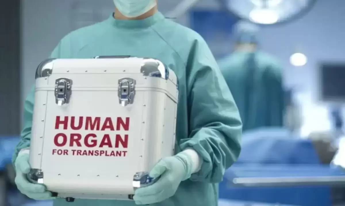 Ресейлік әйел Павлодарда бүйрегін сатпақ болған