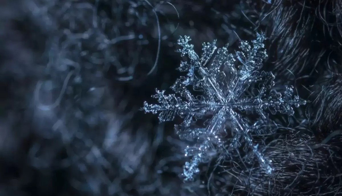 Демалыс күндері ауа райы қандай болады