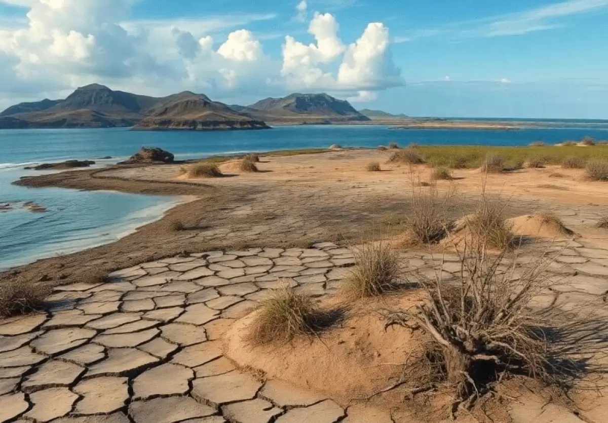 Тоқаев Арал мәселесін көтерді