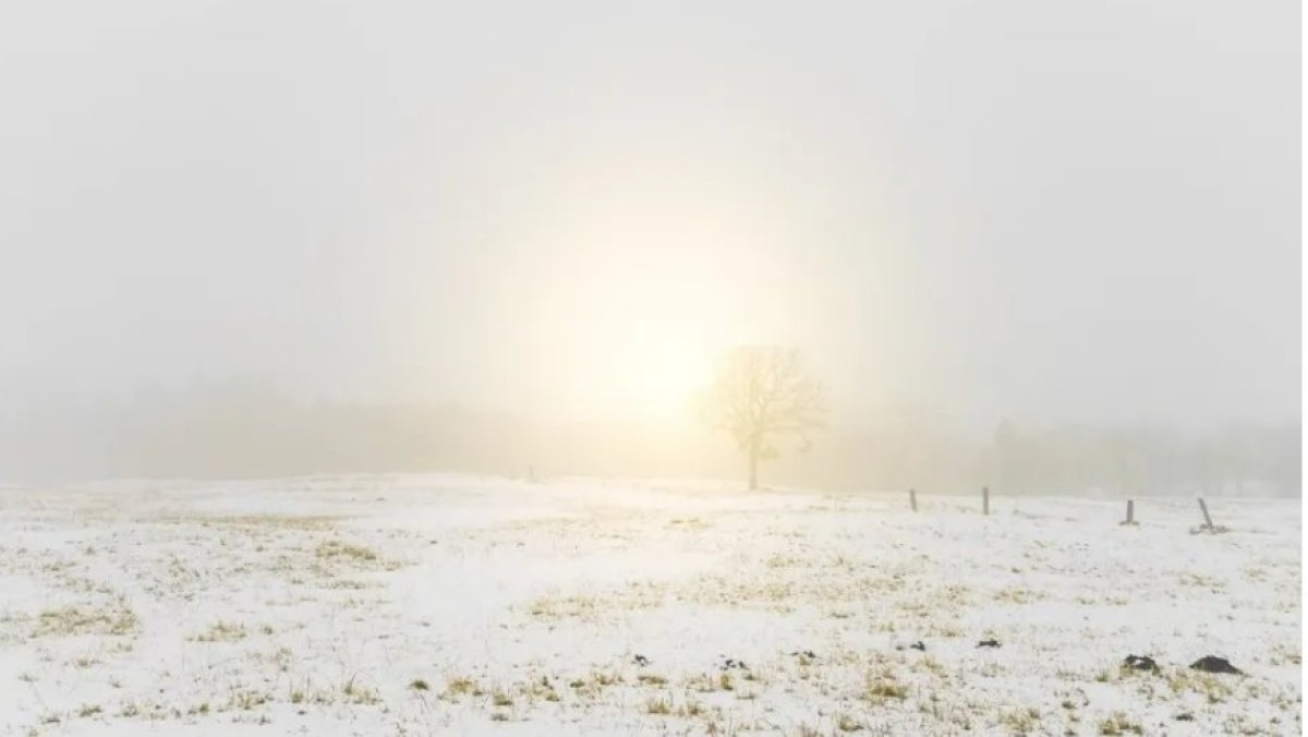 Тұман түсіп, көктайғақ болады - синоптиктер ескерту жасады