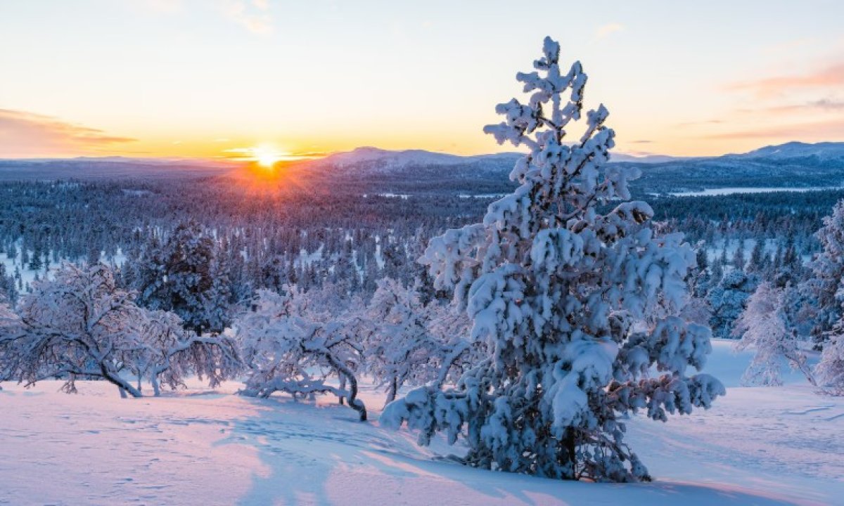 Аяз бәсеңдеп, жауын-шашынсыз болады: ауа райы болжамы