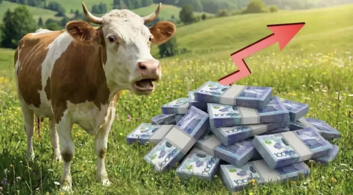 Билік фермерлердің алдында миллиардтап қарыз болып қалған