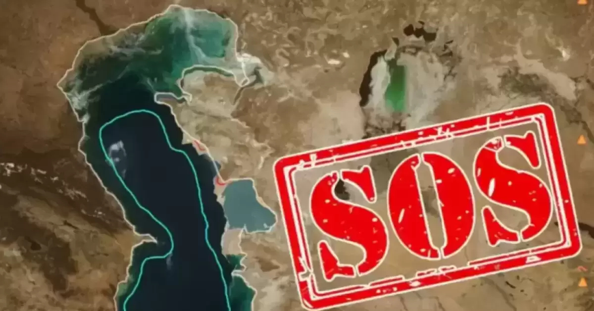 Үкімет Каспийді зерттеуге және сақтауға 1,1 млрд теңге бөлді