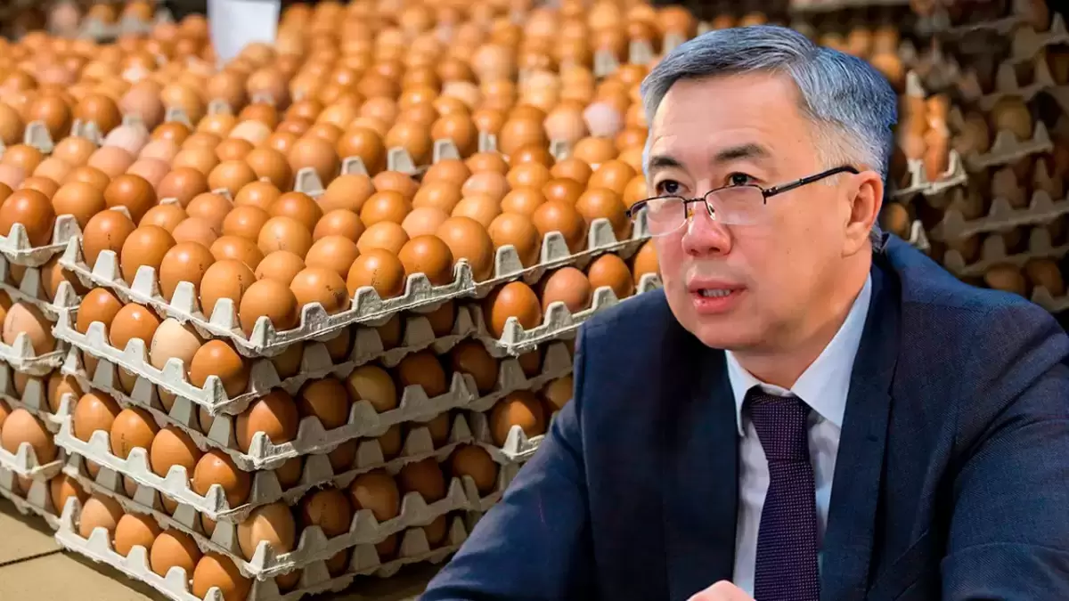 Сиыр еті мен жұмыртқаны экспорттауға қатысты шешім шықты