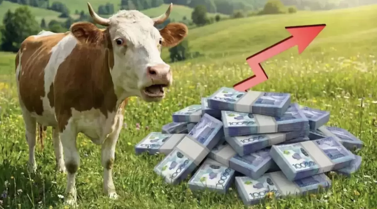 Түркістан облысында субсидияның ақшасын жымқырған адам сотталды