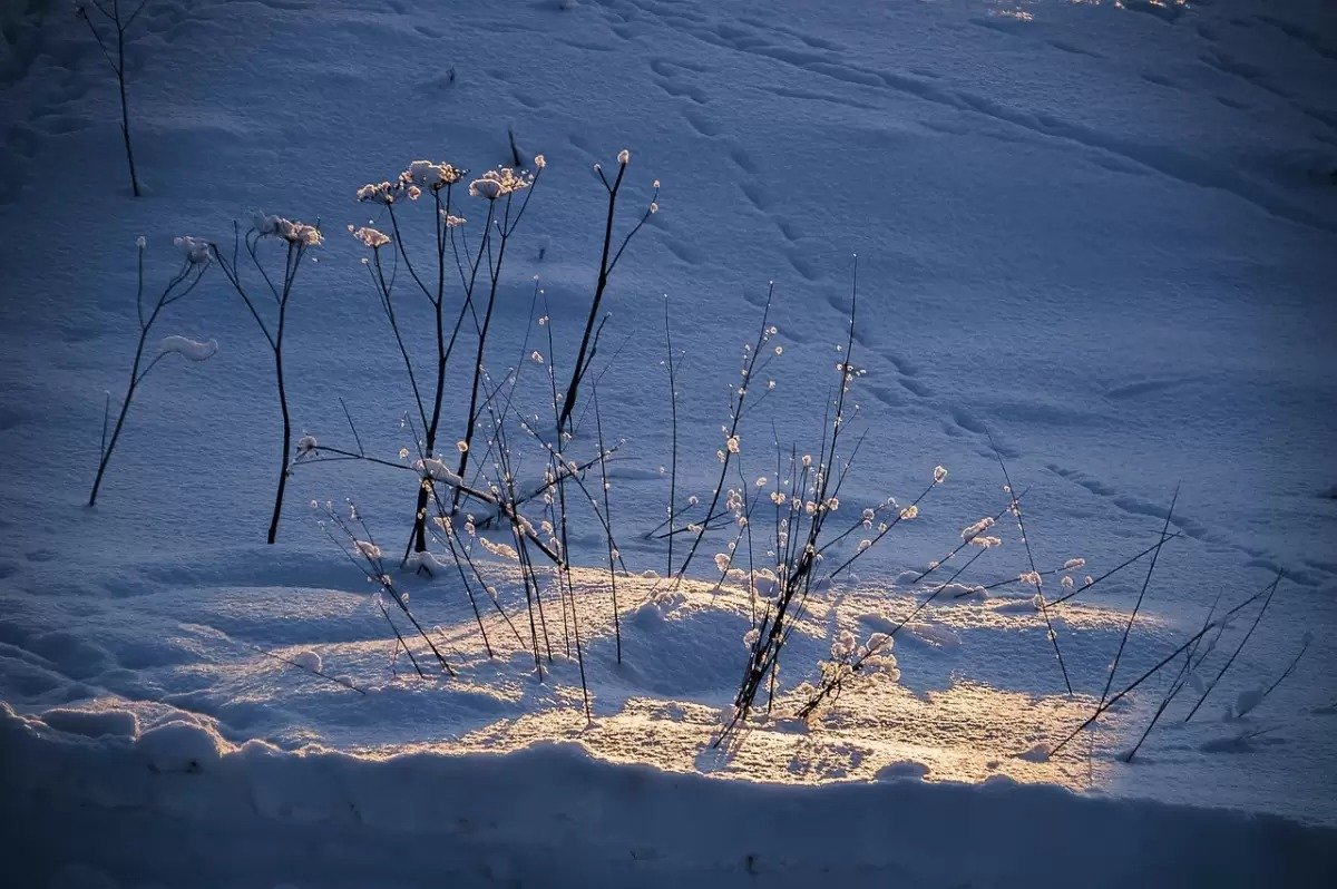 Алдағы күндері үш мегаполисте ауа райы қандай болады