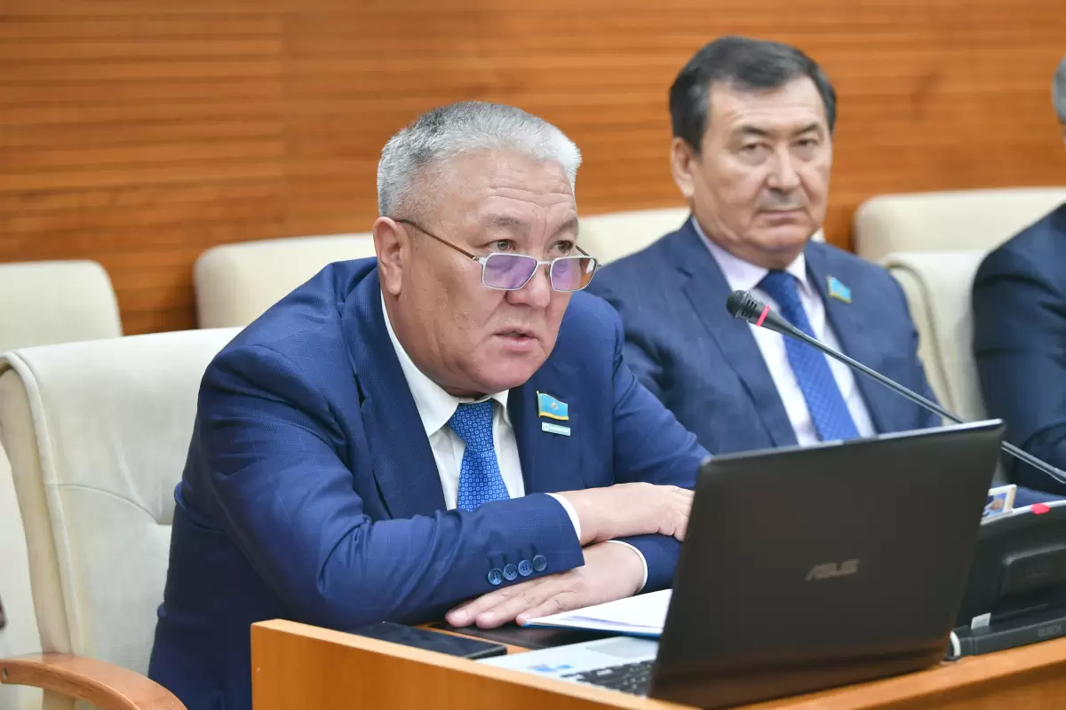 "Қойшы-ей. Басқа сұрағың жоқ па?" - депутат Тұмашинов