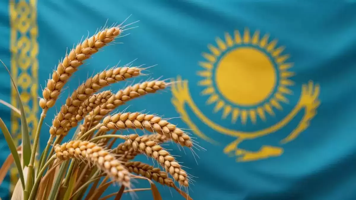 Ресейден астық пен жем-шөп импорттауға тыйым салынды