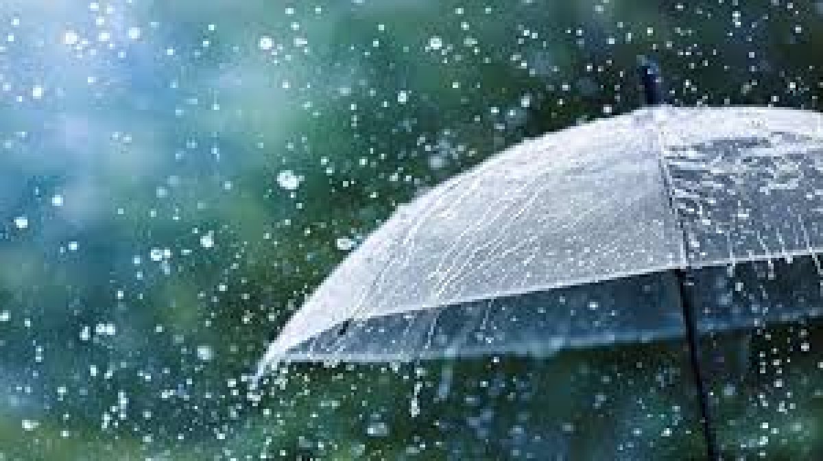 Жаңбыр, жел, найзағай: 5 сәуірге арналған ауа райы болжамы