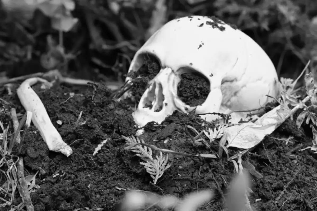 ШҚО-да аурухана құрылысы кезінде адам сүйектері табылды