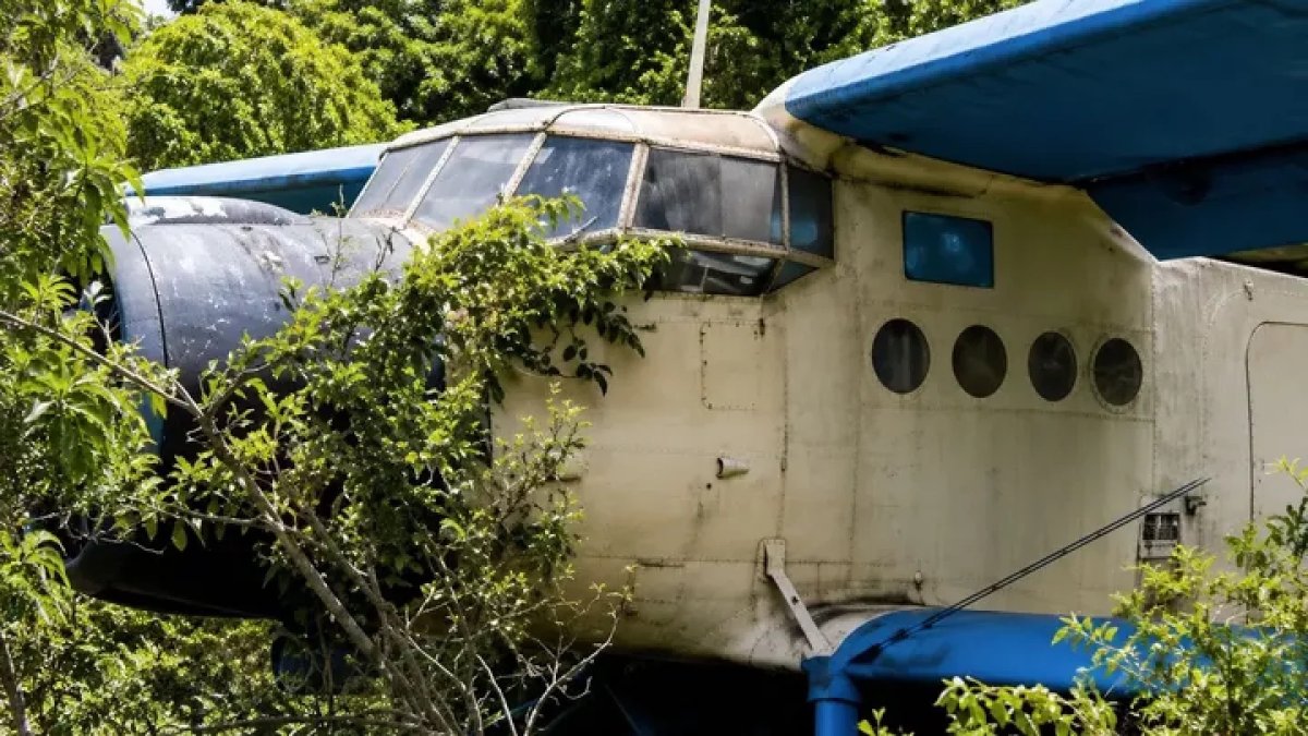 Алматы облысында Ан-2 ұшағы апатты жағдайда қонды