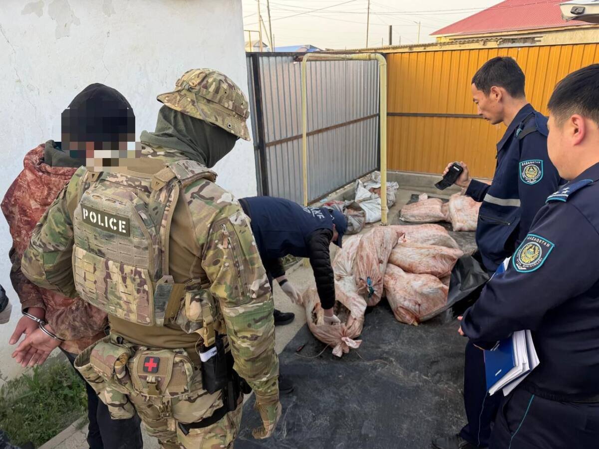 Атырауда заңсыз бекіре балығын аулағандар ұсталды