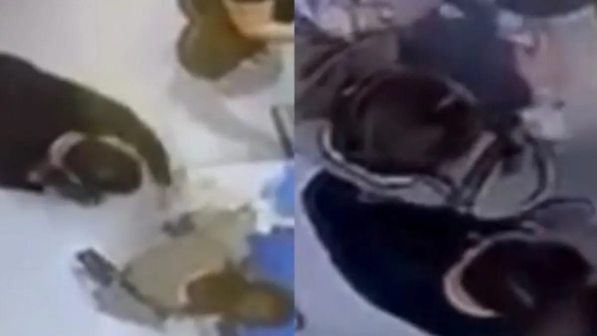 «Хан Шатырдағы» видео желіде қызу талқыланып жатыр