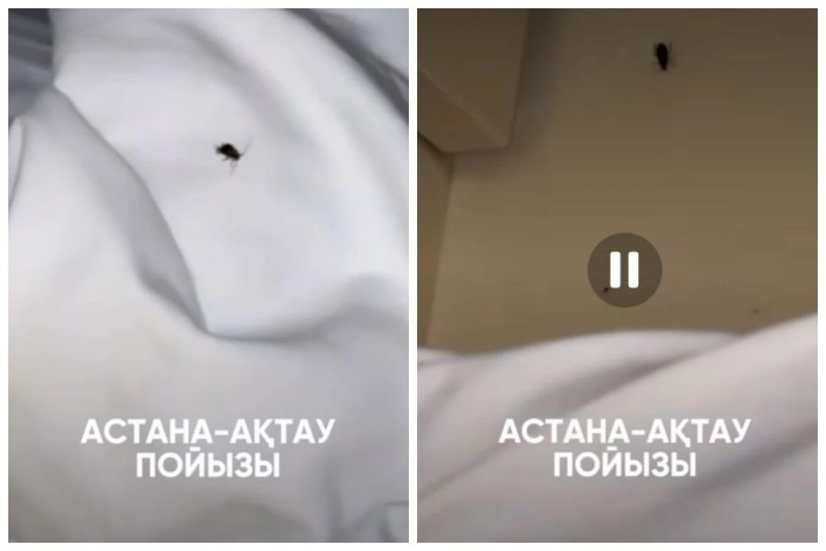 «Тарақандар жүр»: жолаушылар Маңғыстау – Семей пойызына шағымданды