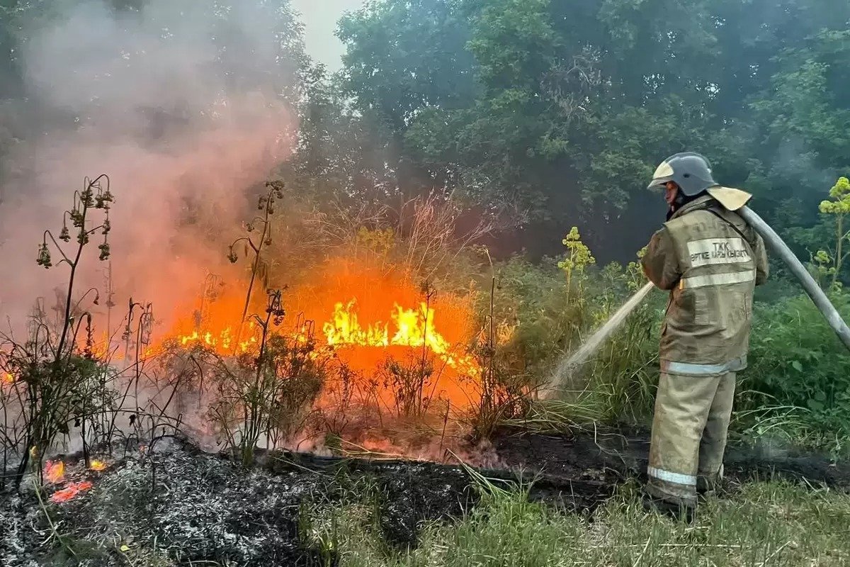Қазақстанда бір тәулікте үш орман өрті тіркелді