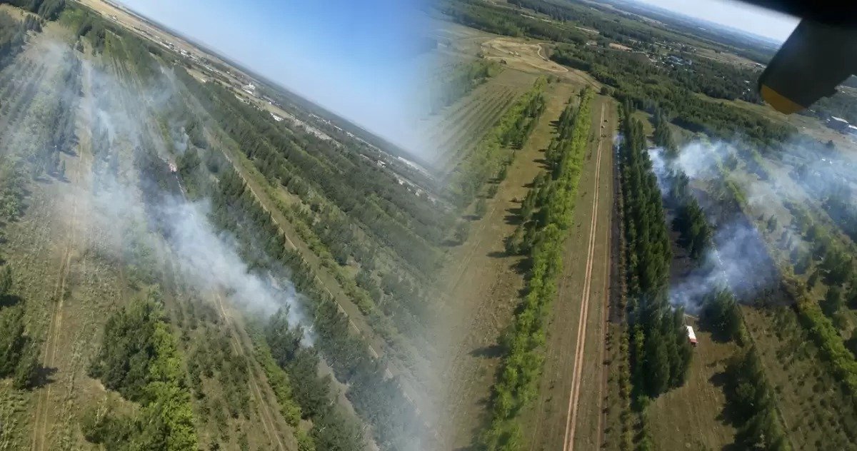 Қазақстанда бір тәулікте бірден бес орман өрті тіркелді