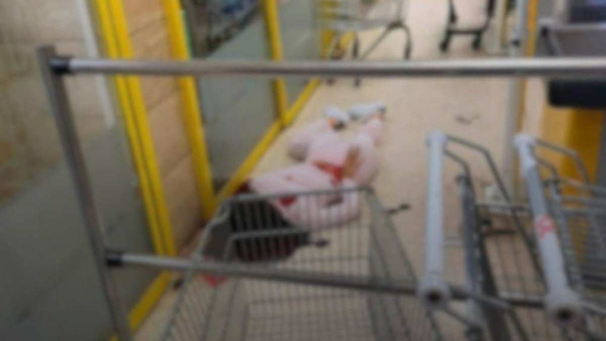 Кипрде пышаққа түскен қыз Қазақстан азаматы емес болып шықты