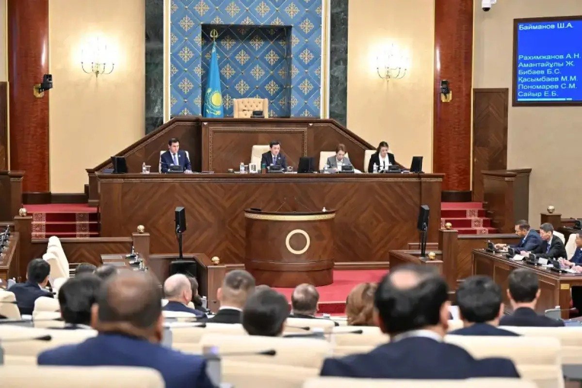 Құрылтай жанынан 50 адамнан тұратын жаңа палата құру ұсынылды: ол немен айналысады