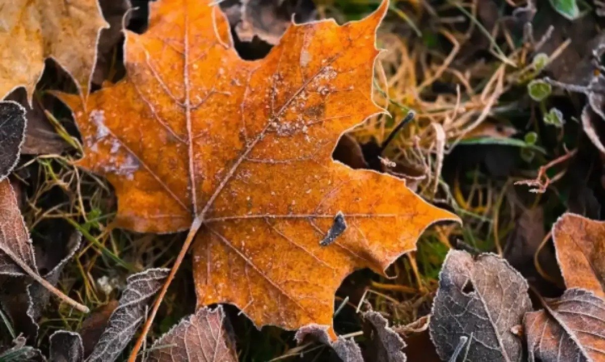 Үсік, көктайғақ, тұман: 7 қазанда ауа райы қандай болады