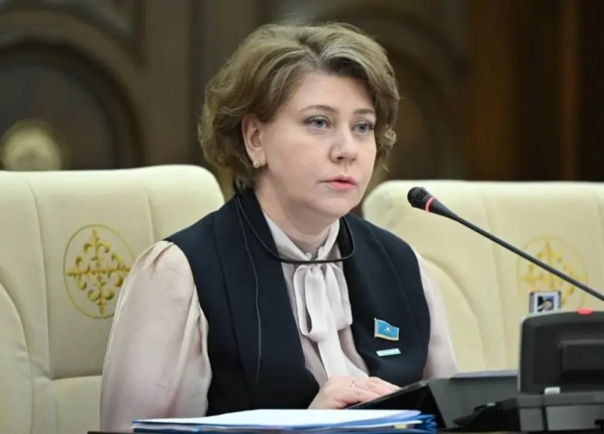 Тоқаев Қорғаныс министрлігіне "мықты қаржыгерді" не үшін жіберді - саясаттанушы пікірі