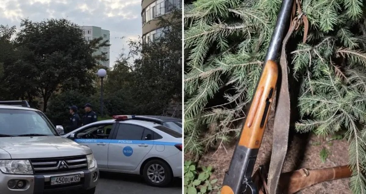 Алматыда қоқыс жәшігінің маңынан мылтық табылды