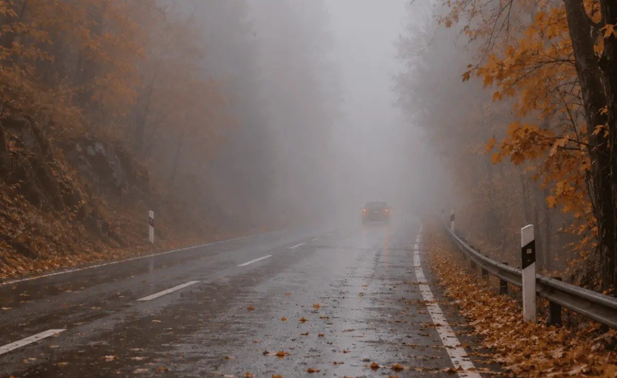 Қарашада елімізде күн райы қандай болады