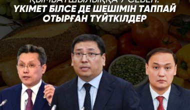 Қымбатшылыққа 7 себеп: Үкімет білсе де шешімін таппай отырған түйткілдер