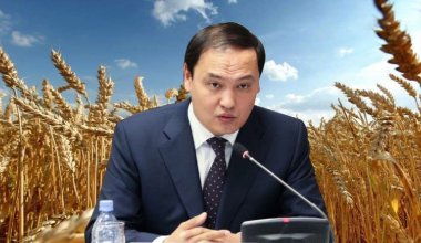 Қарашөкеев Қытайға бидайды көбірек өткізуге үміттеніп отыр