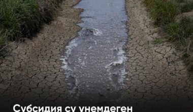 Субсидия су үнемдеген фермерлерге ғана беріледі - министр