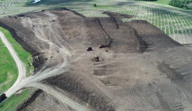 Солтүстік Қазақстанда өндіріс үшін 48 гектар орман оталмақ