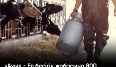 «Ауыл - Ел бесігі» жобасына 800 млрд тг: Қаражат қанша ауылды қамтиды?