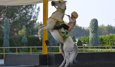 Гурбангулы Бердімұхамедов Қасым-Жомарт Тоқаевқа ат мінгізді