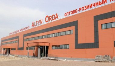 «Пайдакүнемдердің майшелпегі»: Тоқаев «Алтын ордаға» қатысты тапсырма берді