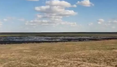 Атырау облысында әкімдік мұнай төгілген аумақты екі жылдан бері тазаламаған