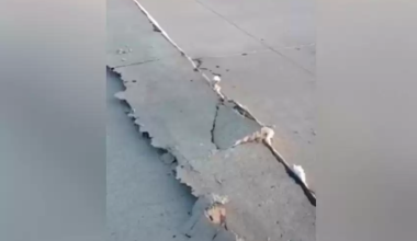 Алматы-Қорғас тасжолының бетон жабыны көтеріліп кеткен