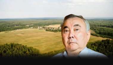 Болат Назарбаев көлік базарынан айырылды: апелляция шешімді өзгеріссіз қалдырды