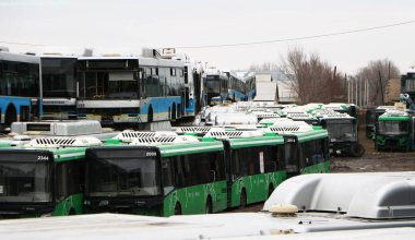 "Автобустар зираты": "Алматыэлектротранс" бюджеттің жүздеген миллионын шығындаған