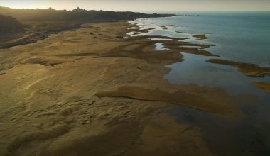 Тартылған Каспий, қырылған итбалық: Қазақстанда ғылыми-зерттеу институты құрылады