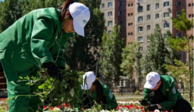 Алматы облысында «Жасыл ел» бағдарламасына қатысқан 1200 студентке еңбекақы берілмеген