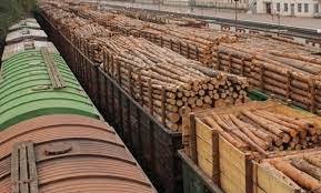 Қырғызстан ағаш экспортына уақытша тыйым салды