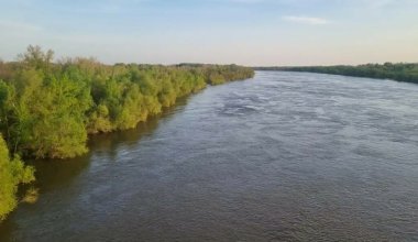 Жайық өзені Ақжайық ауданында қауіпті деңгейден жарты метрге асты