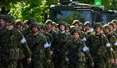 Эстония үкіметі Украинаға әскер жіберуге ниетті