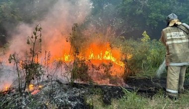 Жаз өте ыстық болады: прокурорлар орман өрті қаупіне байланысты тексеру жүргізеді