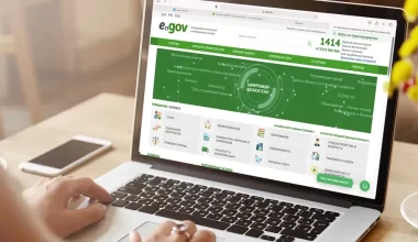 EGov модульдері Африкаға экспортталады