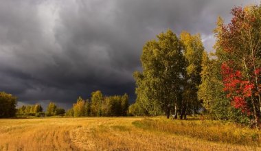 Ауа райы: солтүстік салқынырақ, шығыс нөсерлі, оңтүстікте аптап ыстық