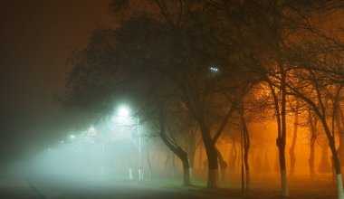Тұман, жаңбыр, найзағай – Қазақстанның қай өңірлерінде күн бұзылады