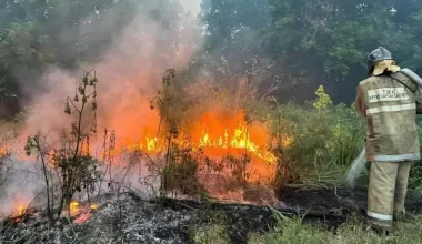 Айтылған сөз сол жерде қалды: Үкімет уәде еткен орманшылардың айлығы өспей жатыр