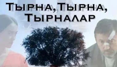 Ұлттық киноны қолдауға бөлінген қаржы тиімсіз жұмсалған: кімдер жауапқа тартылды