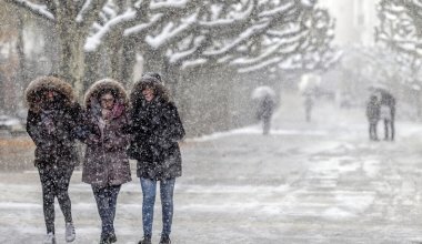 Қатты жаңбыр, көктайғақ: 19 қарашада ауа-райы қандай болады