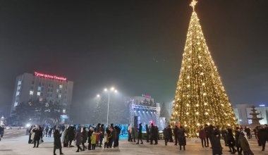 Семейде мұғалім шыршаны безендіру кезінде құлаған: білім бөлімі басшысы қызметінен кетті